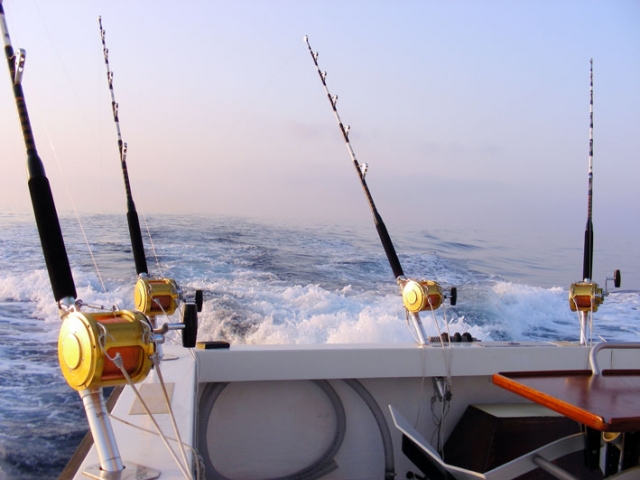  En adelante para la pesca deportiva 